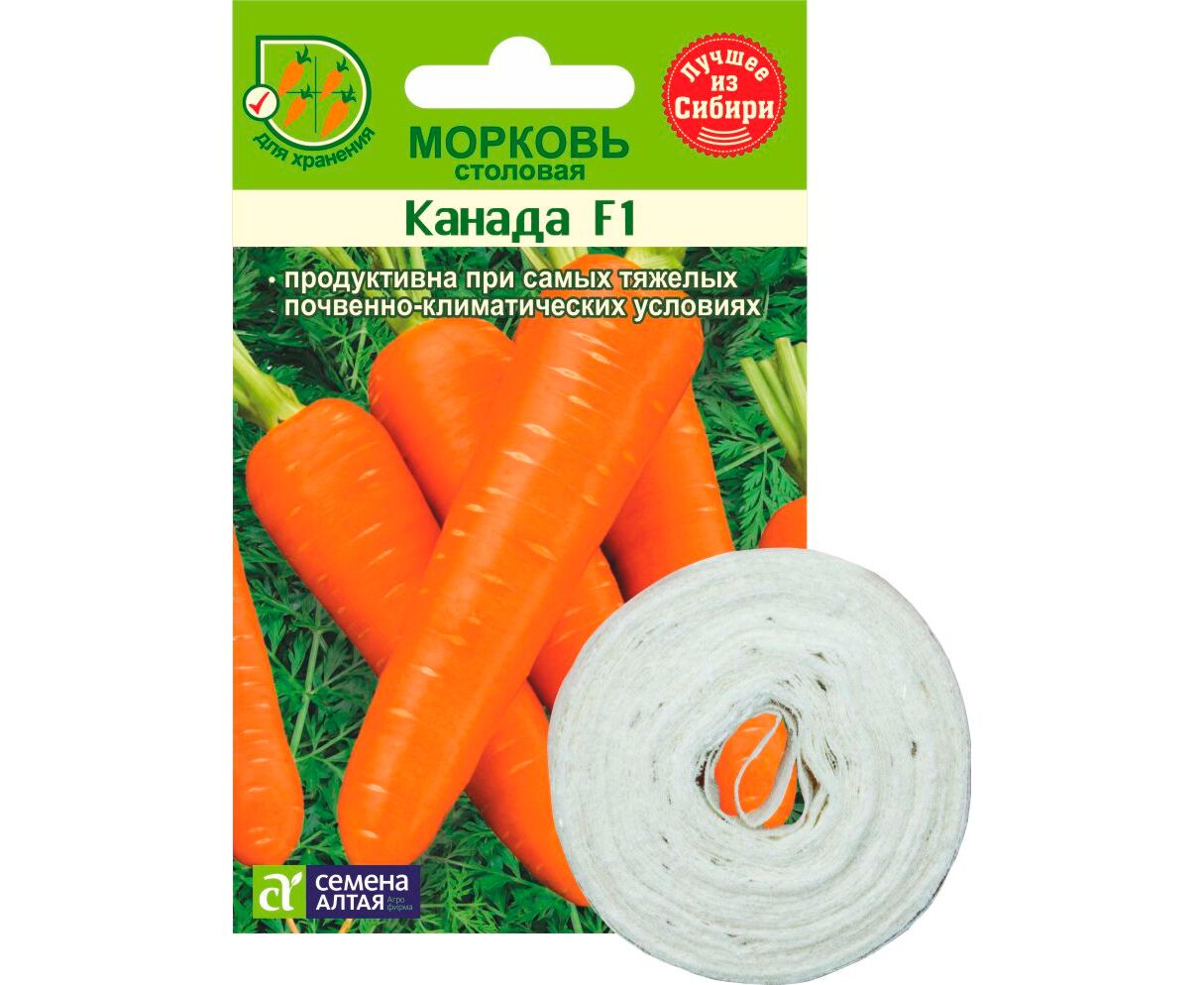 Морковь на ленте купить. Морковь Канада f1. Семена Алтая сорта моркови. Семена моркови на ленте.