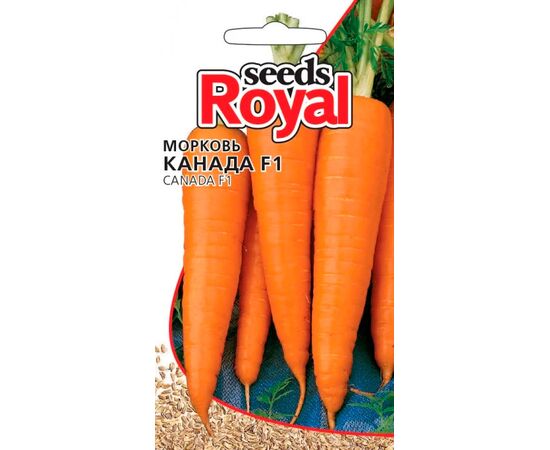 Морковь Канада F1 (Royal Seeds)