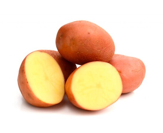 Картофель Ароза, сетка ~2.5 кг (Семена Алтая)