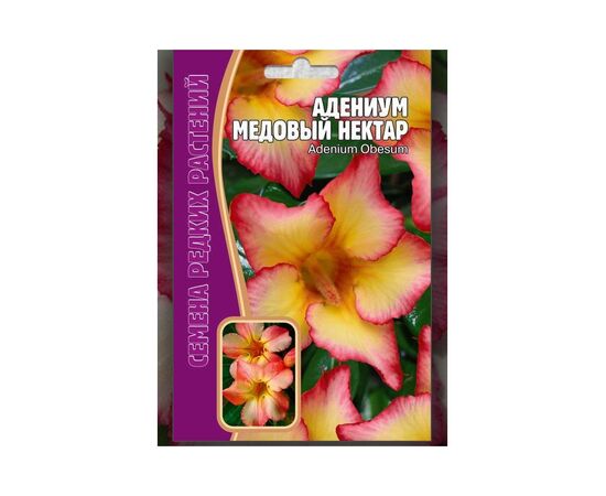 Адениум Медовый нектар 3шт (Семена редких растений)