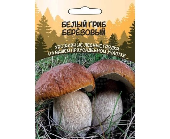 Белый гриб Березовый 30 мл (Уральский дачник)