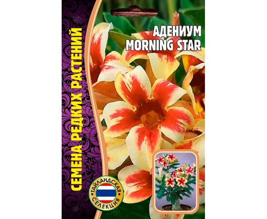 Адениум Morning Star 3шт (Семена редких растений)