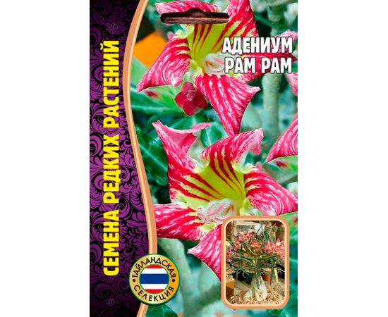 Адениум Pam Pam 3шт (Семена редких растений)