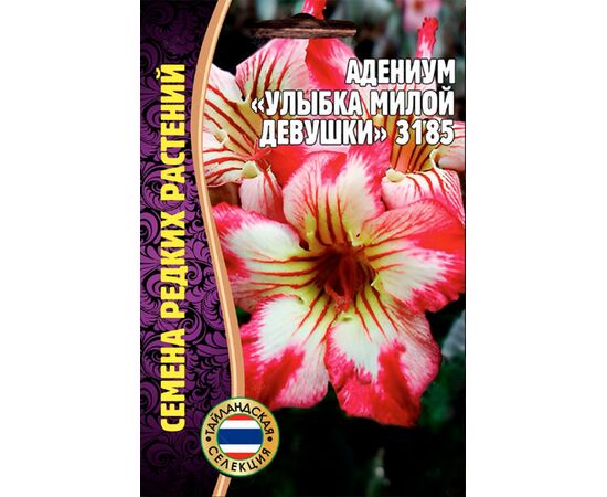 Адениум Улыбка милой девушки 3185 3шт (Семена редких растений)