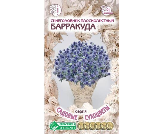 Синеголовник плосколистный Барракуда "Садовые сухоцветы" 0.1г (Евросемена)