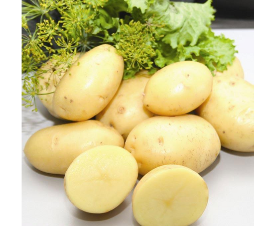 Картофель Импала, сетка ~2.5 кг (Семена Алтая)