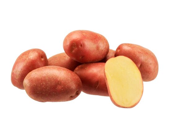 Картофель Эволюшн, сетка ~2.5 кг (Семена Алтая)