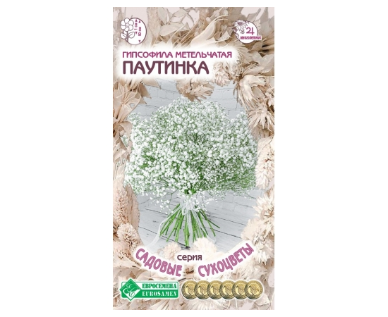 Гипсофила метельчатая Паутинка "Садовые сухоцветы" 0.1г (Евросемена)