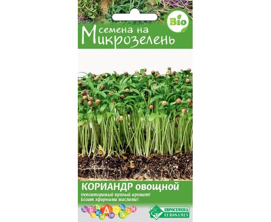 Кориандр овощной "Семена на микрозелень" 5г (Евросемена)