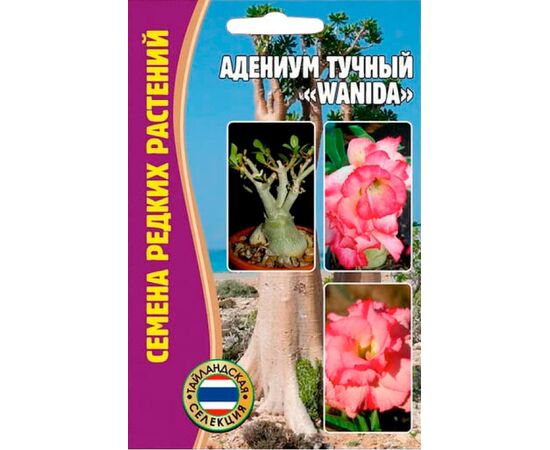 Адениум тучный Wanida 3шт (Семена редких растений)