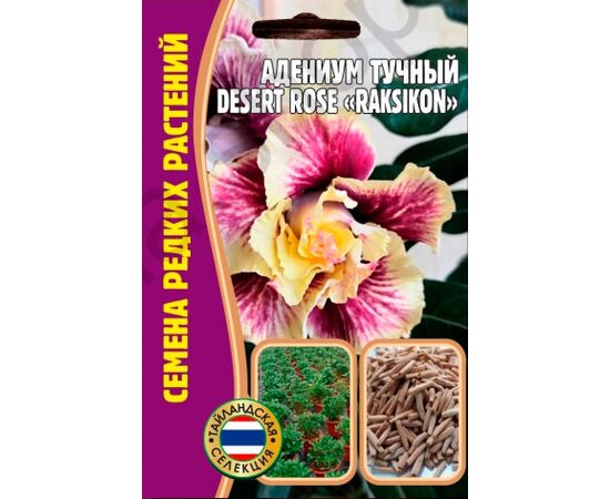 Адениум тучный Desert Rose Raksikon 3шт (Семена редких растений)