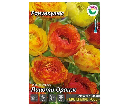 Ранункулюс Пикоти Оранж 1шт (Сибирский сад)
