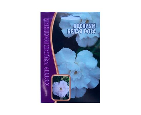 Адениум Белая роза 3шт (Семена редких растений)