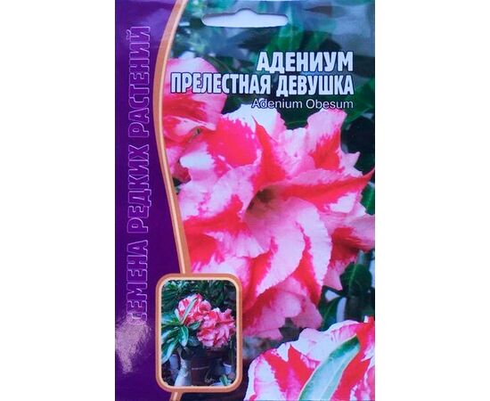 Адениум Прелестная девушка 3шт (Семена редких растений)