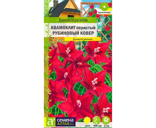 Квамоклит перистый Рубиновый ковер 0.2г (Семена Алтая)