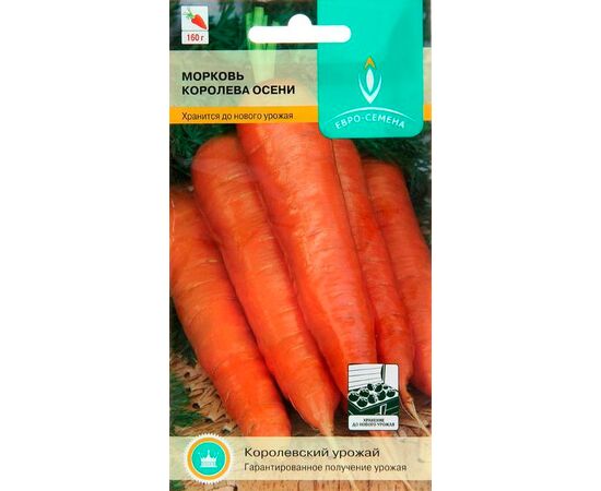 Морковь Королева осени 2г (Евро-семена)