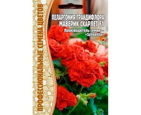 Пеларгония Маверик Скарлет F1 3шт (Профессиональные семена цветов)