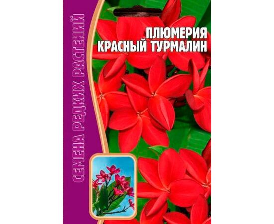 Плюмерия Красный турмалин 3шт (Семена редких растений)