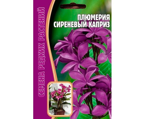 Плюмерия Сиреневый Каприз 3шт (Семена редких растений)