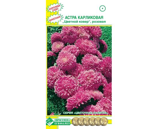 Астра карликовая Цветной ковер розовая "Цветочная палитра" 0.1г (Евросемена)