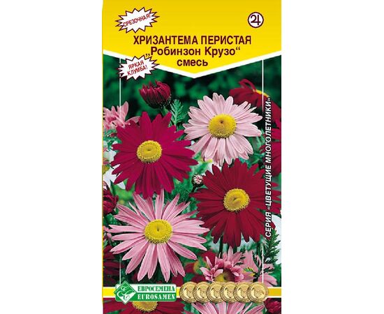 Хризантема перистая Робинзон Крузо смесь "Цветущие многолетники" 0.2г (Евросемена)