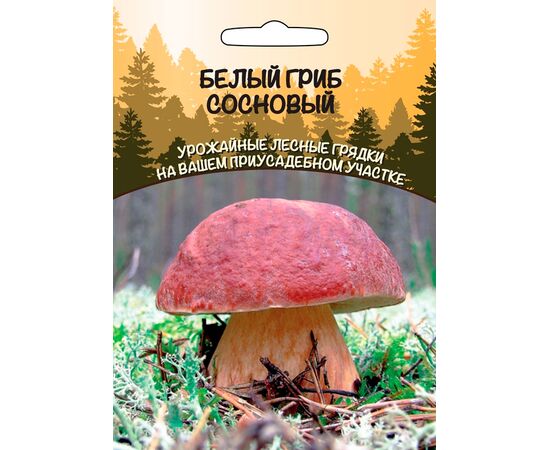 Мицелий Белый гриб Сосновый 30мл (Уральский дачник)