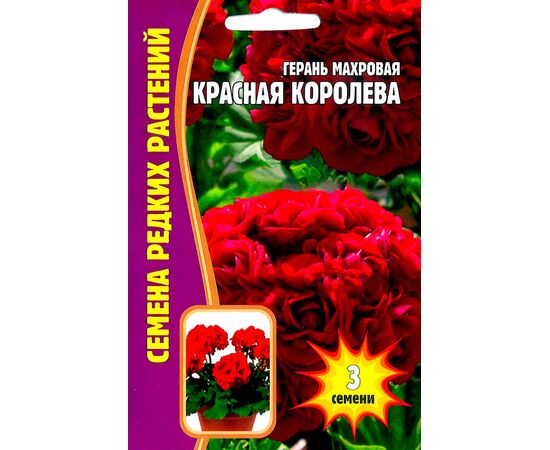 Герань махровая Красная королева 3шт (Семена редких растений)