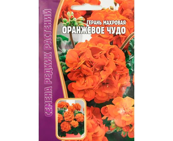 Герань махровая Оранжевое чудо 3шт (Семена редких растений)