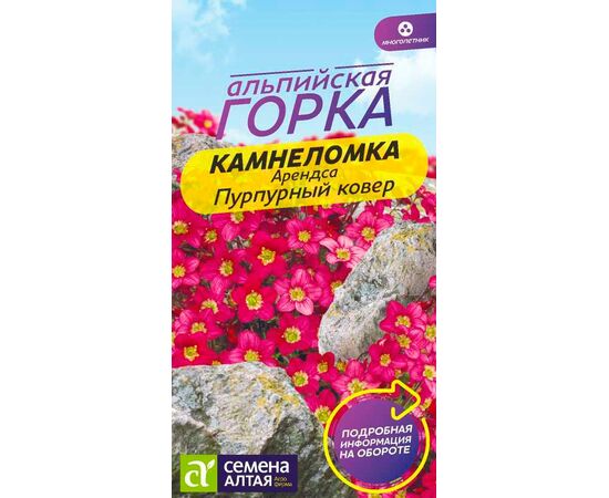 Камнеломка Арендса Пурпурный ковер "Альпийская горка" 0.01г (Семена Алтая)