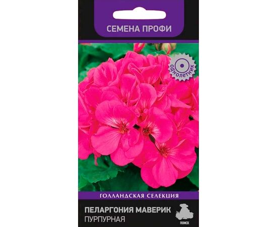 Пеларгония Маверик пурпурная "Семена профи" 5шт (Поиск)
