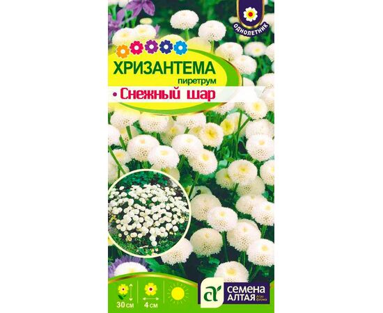 Хризантема пиретрум Снежный шар 0.01г (Семена Алтая)
