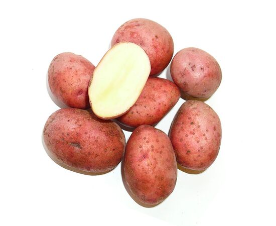 Картофель Любава, сетка ~2.5 кг (Семена Алтая)