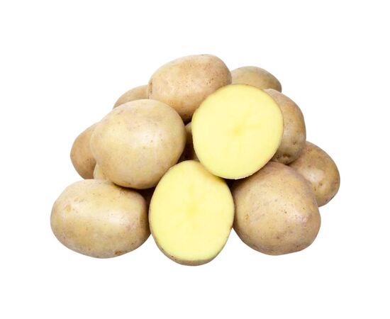 Картофель Невский, сетка ~2.5 кг (Семена Алтая)