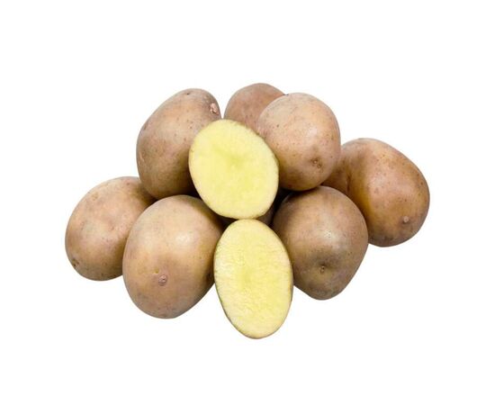 Картофель Уладар, сетка ~2.5 кг (Семена Алтая)